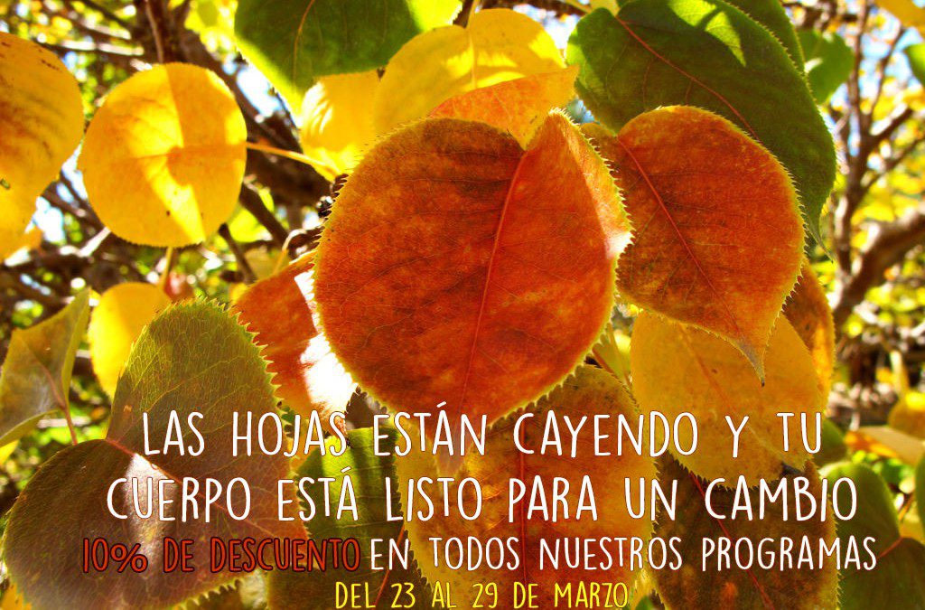 Limpieza detox de Otoño