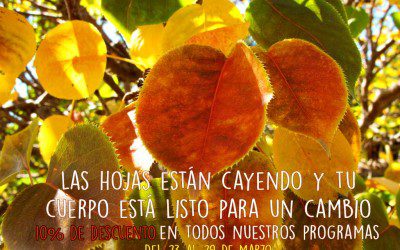 Limpieza detox de Otoño