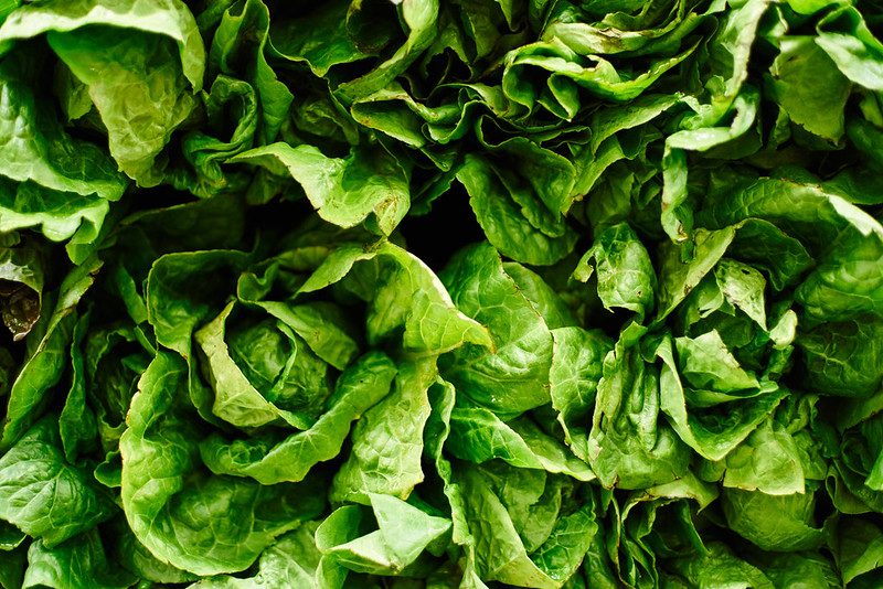 Programa Detox para perder peso | 3 Días - Imagen 3